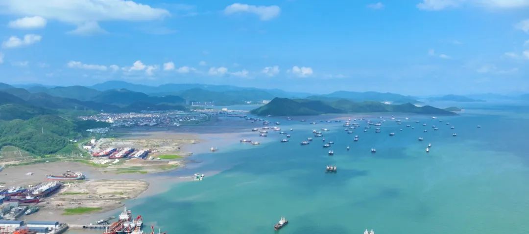 奉化區(qū)桐照漁港品質提升項目開始施工