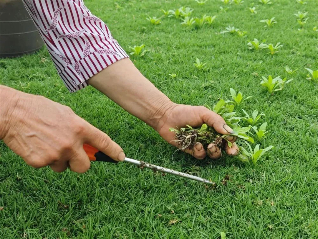 萬豪集團(tuán)匠心助力，6月齊聚重慶龍興足球場為國足吶喊助威！